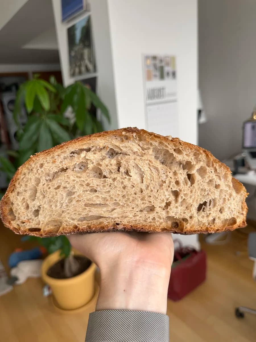 Sourdough, weekly